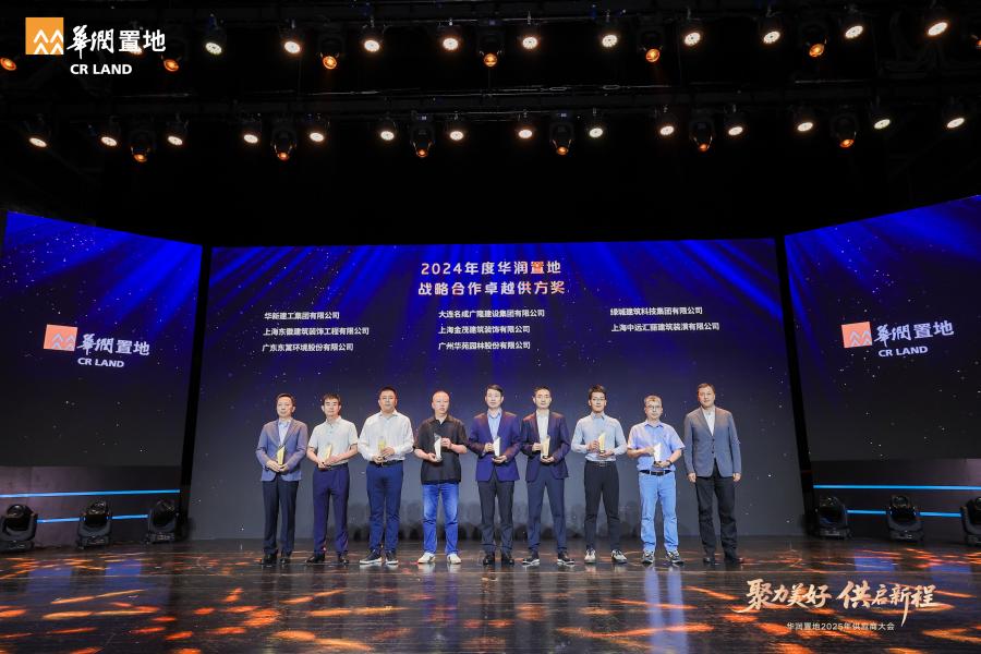 战略相助卓越供方奖.jpg